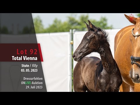 ONLIVE-AUKTION Lot 92 Total Vienna Stute v. Total Diamond PS - Vivaldi
