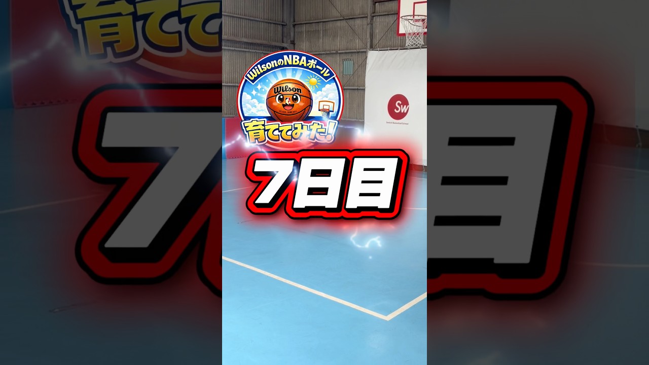 【7日目】WilsonのNBAボール育ててみた🏀