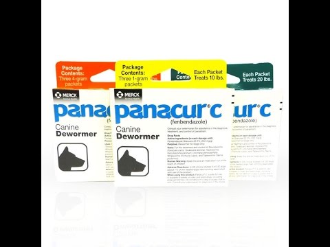 Panacur C Canine Dewormer