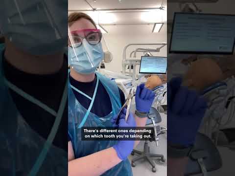 How do dentists extract a molar tooth?
