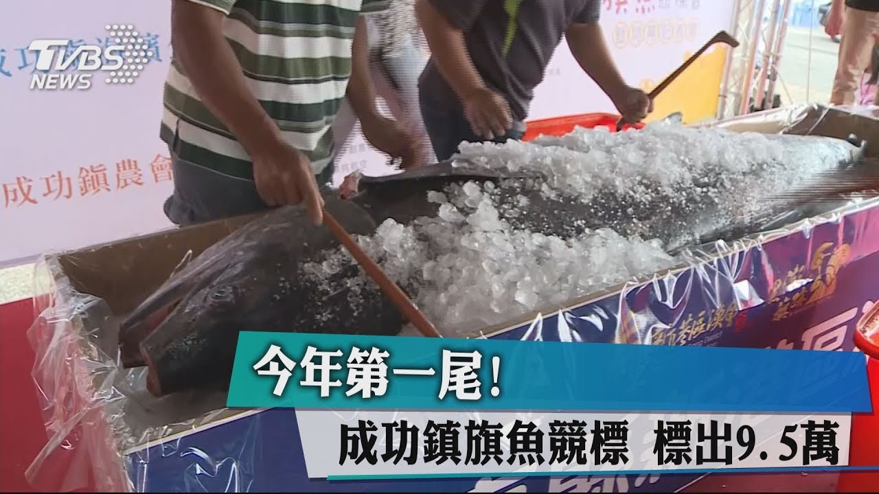 今年第一尾! 成功鎮旗魚競標標出9.5萬