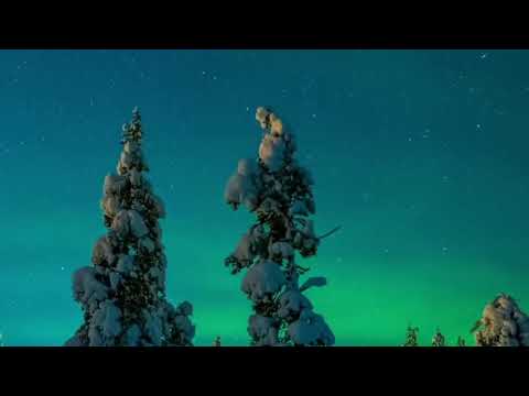 Negro Tango Damour Accordion Mix