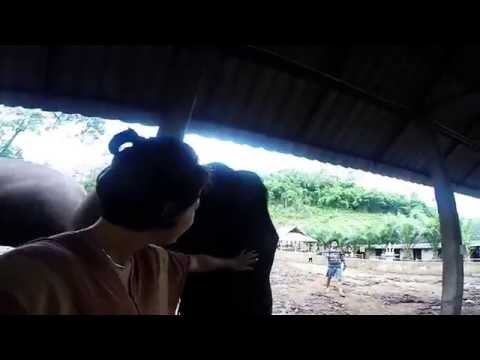 GoPro Southeast Asia 2014