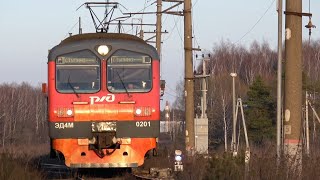 Электропоезд ЭД4М-0201 (6365 Яганово - Ступино) следует по перегону Сотниково - Жилево МскЖД