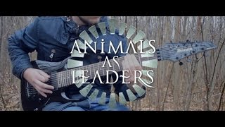 Animals As Leaders - Somnarium (cover by VladimirChamber)