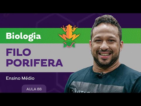 Filo porifera​ - Biologia - Ensino Médio