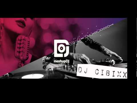 LA Riots & PolinaVs.BORGORE-Wil Out Kamikaze(cibixx smashup)