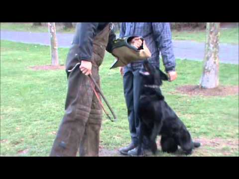 Gucci z Jukasu - protection - 2,5 years