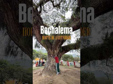 #colombia #travel #bochalema #nortedesantander