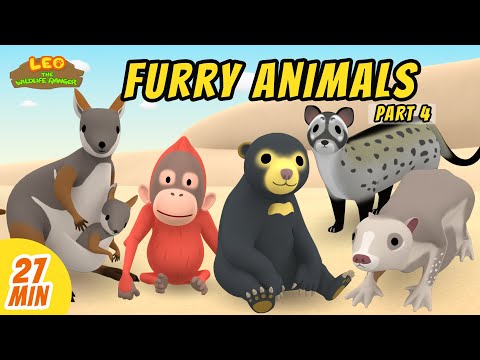 Furry Animals Minisode Compilation (Part 4/4) - Leo the Wildlife Ranger | Animation | For Kids