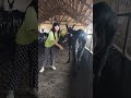 Funniest Donkey Ever Donkey Training The Fun Way 16