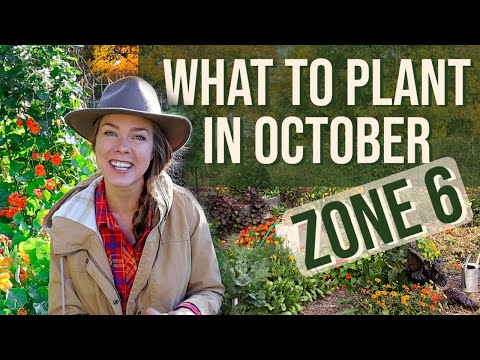 What To Plant in October Zone 6