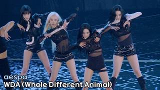 에스파 'WDA (Whole Different Animal)' 직캠｜aespa concert SYNK : COMPLæXITY