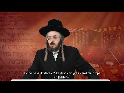 רגע קדוש מהאור החיים - פרשת האזינו יום ב'