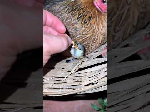 Putem învăța multe...dacă ne reconectam cu natura