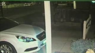 S Willard Stabbing