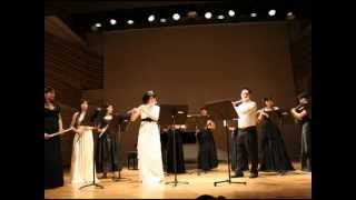 Flute 長笛 Can You Feel The Love Tonight 獅子王