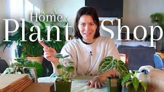 Weekly Plant Shop Routine | Running an Online Houseplant Shop from Home