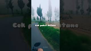 Download lagu Story WA Denny Caknan - Los Dol mp3
