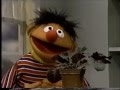 Sesame Street Little Plant