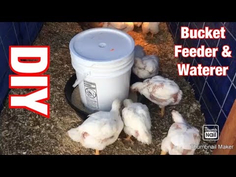 EASY and CHEAP DIY homemade 5 gallon Bucket Chicken Feeder…