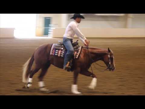 AEE599D0 9135 4FBE A3D1 48B3176D6CEB