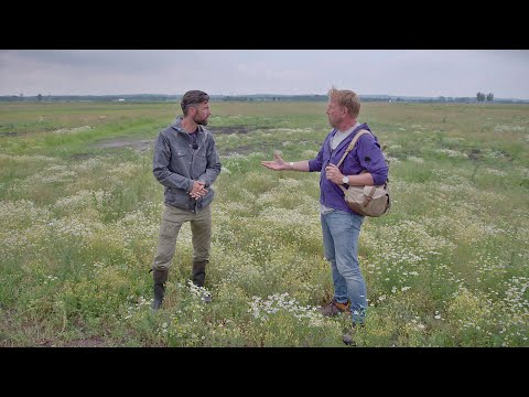 BuitenGewoon 4 juli 2020 - Nieuwe natuur in het Binnenveld