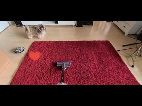 Dyson V15 Detect der Neue Kabellose Staubsauger