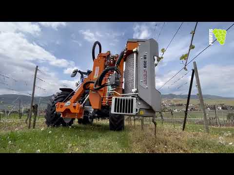 Provitis - Effeuilleuse LR 350-L (version large)