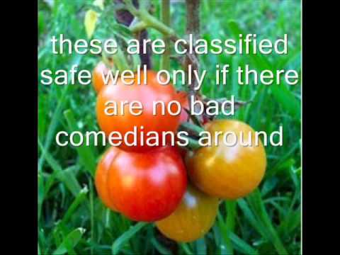 SCP-504 "Critical Tomatoes"