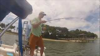 preview picture of video 'Hunting Sheepshead in Broad Creek'