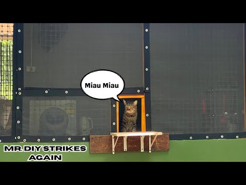 PALUU SAARIELÄMÄÄN