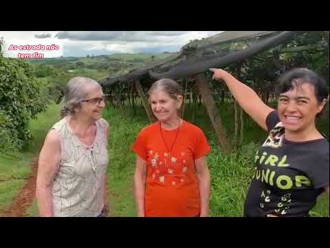 MARIALVA CAPITAL DA UVA, EST. PARANÁ EP  05