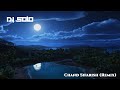 DJ SoLo Chand Sifarish Remix Fanaa Amir Khan Kajol Download Link In The Description