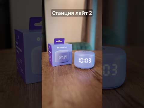фото колонка алиса 0