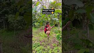 Download lagu ingin ku teriak sekerasnya #funny #komedi #comedy #funnycomedy #fypシ #fyp #hiburanlucu #bikinngakak mp3 Download lagu ingin ku teriak sekerasnya #funny #komedi #comedy #funnycomedy #fypシ #fyp #hiburanlucu #bikinngakak mp3