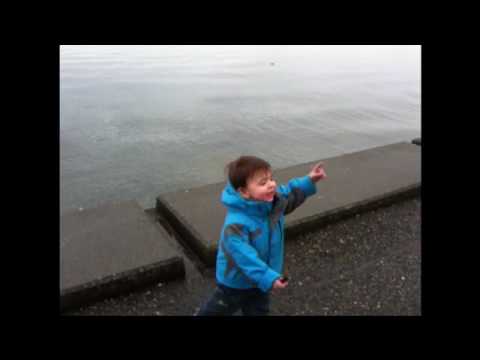 Max Chasing Dogs at Alki