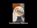 Ξύλινο Επιτραπέζιο Παιχνίδι 2 σε 1 Sling Puck - Επιτραπέζιο Hockey