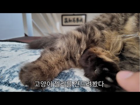 괜히 한대 맞았다