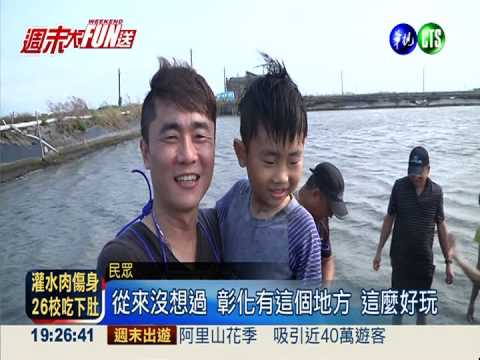 體驗一日漁民 下水抓魚.摸文蛤!