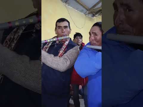 5 | Vista Alegre _ Chumbivilcas _ Cusco #chumbivilcas #cusco #luquesavina