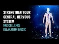 Strengthen Your Central Nervous System Muscle Twitches Cure Muscle Jerks Relaxation Music 432Hz