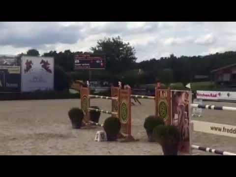 8jr Famoso d'Ive wint 2* GP