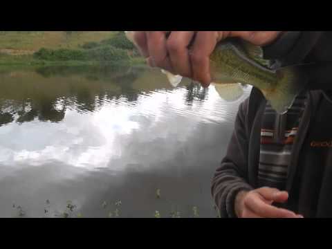 Vale de Seda Fronteira 19 de Maio 2013 018