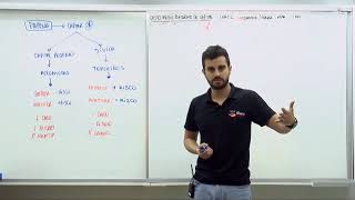 16   Custo Ponderado do Capital   WACC