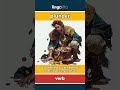 plunder (verb) - definition and usage in English
