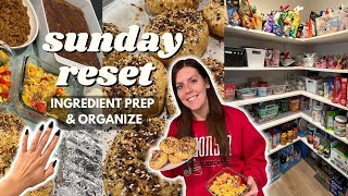 Sunday RESET | Ingredient/Meal Prep, Organize | Staying on Track | Bagels & Breakfast Burritos