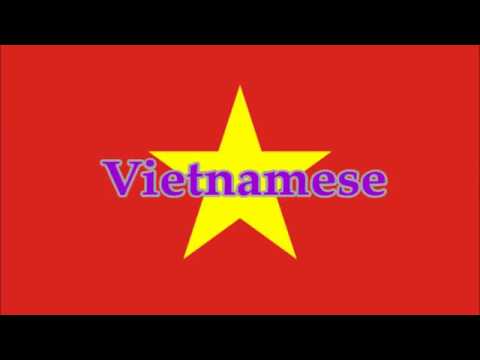 Despacito in 20 different Languages!