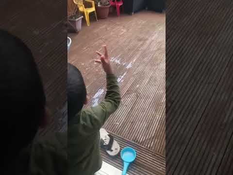 That how he feeds the cat