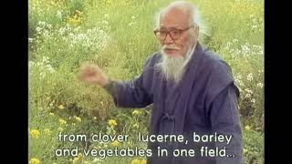 I like spending time in the gardens’ of others and walking through parks, even if I’ve never been